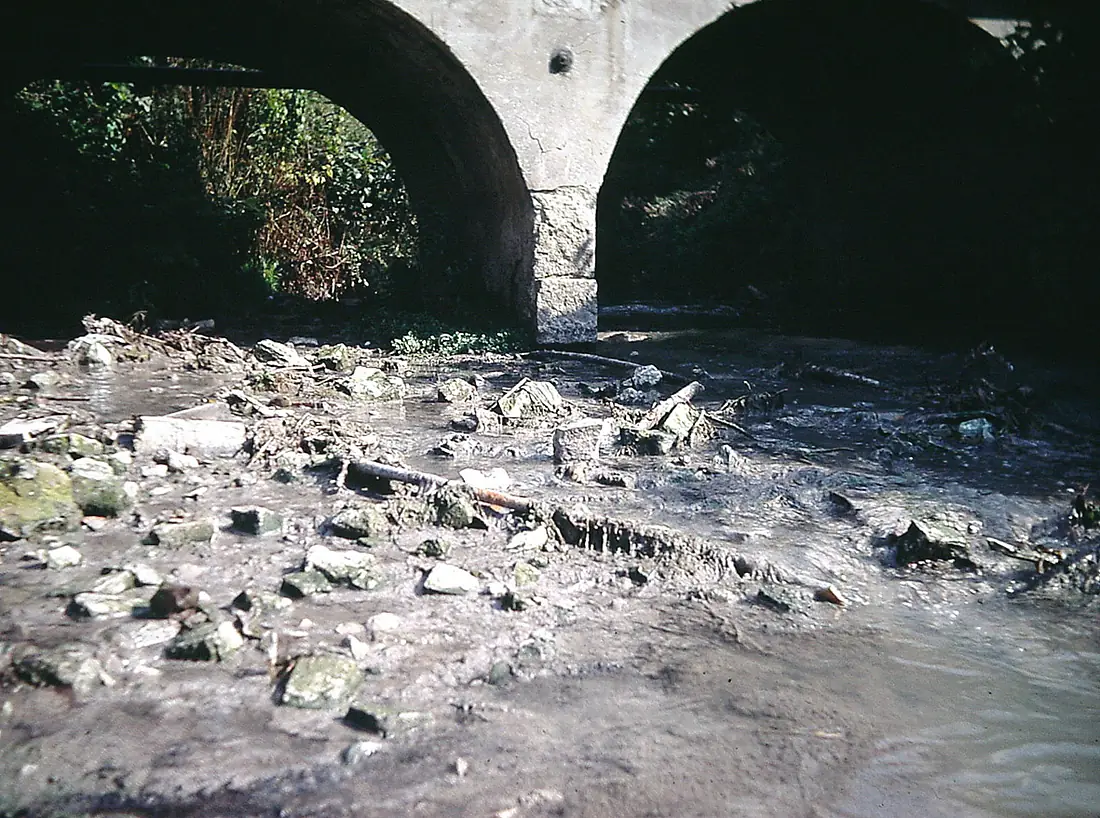 AaRiverFrance Blendecques 1989