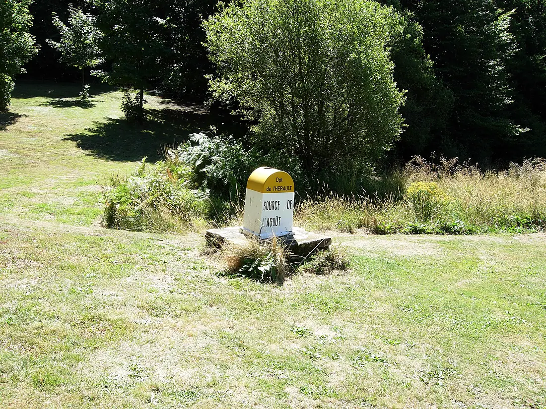 Agout source