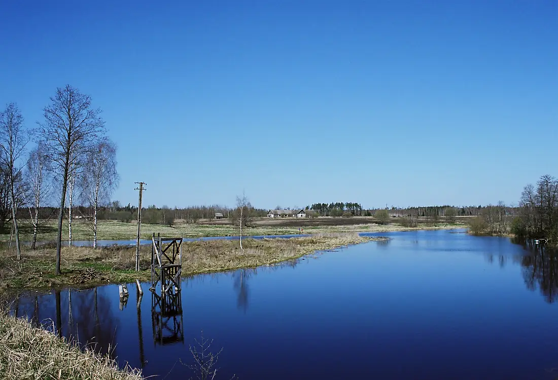 Ahja jõgi, Läänistel, 2008