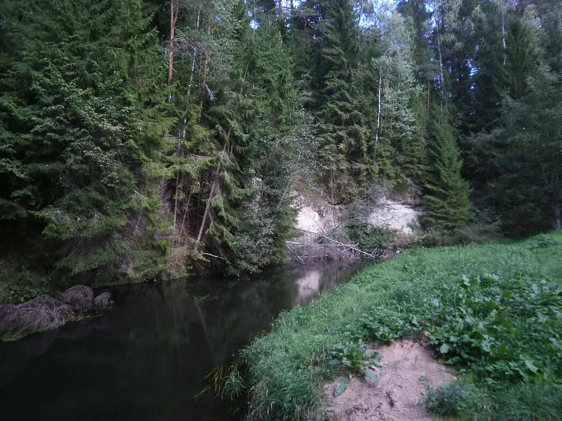 Ahja river, Valgemetsa