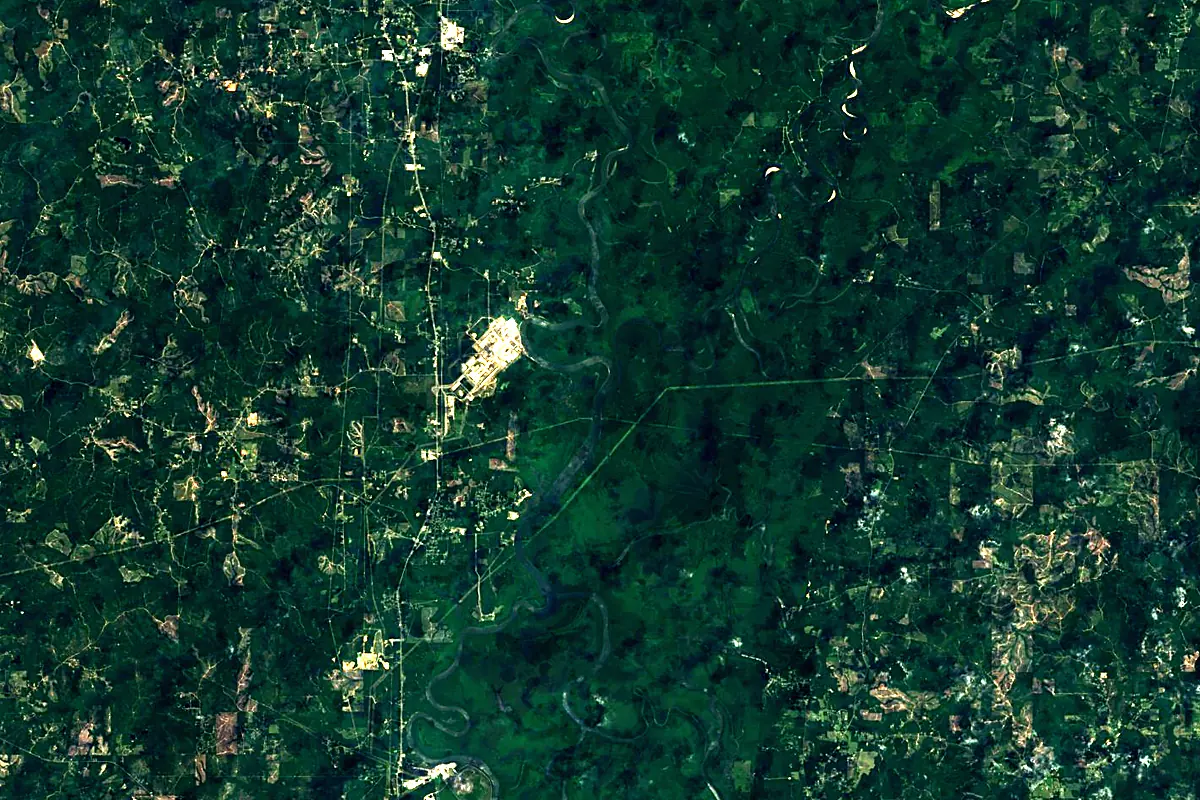 Alabama River: satellite view of the mouth