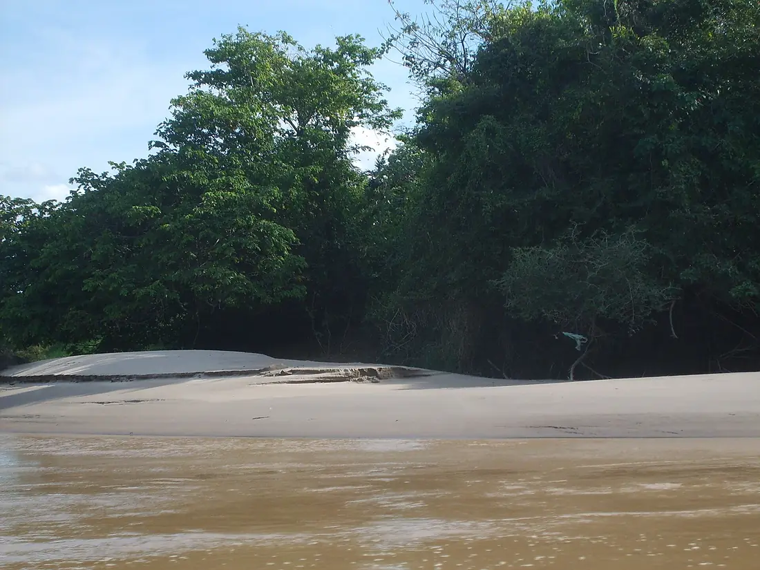 APURE RIO ARAUCA