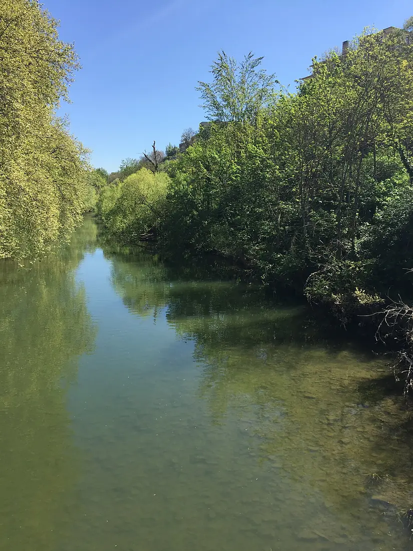 Miranda de Arga (Río Arga)
