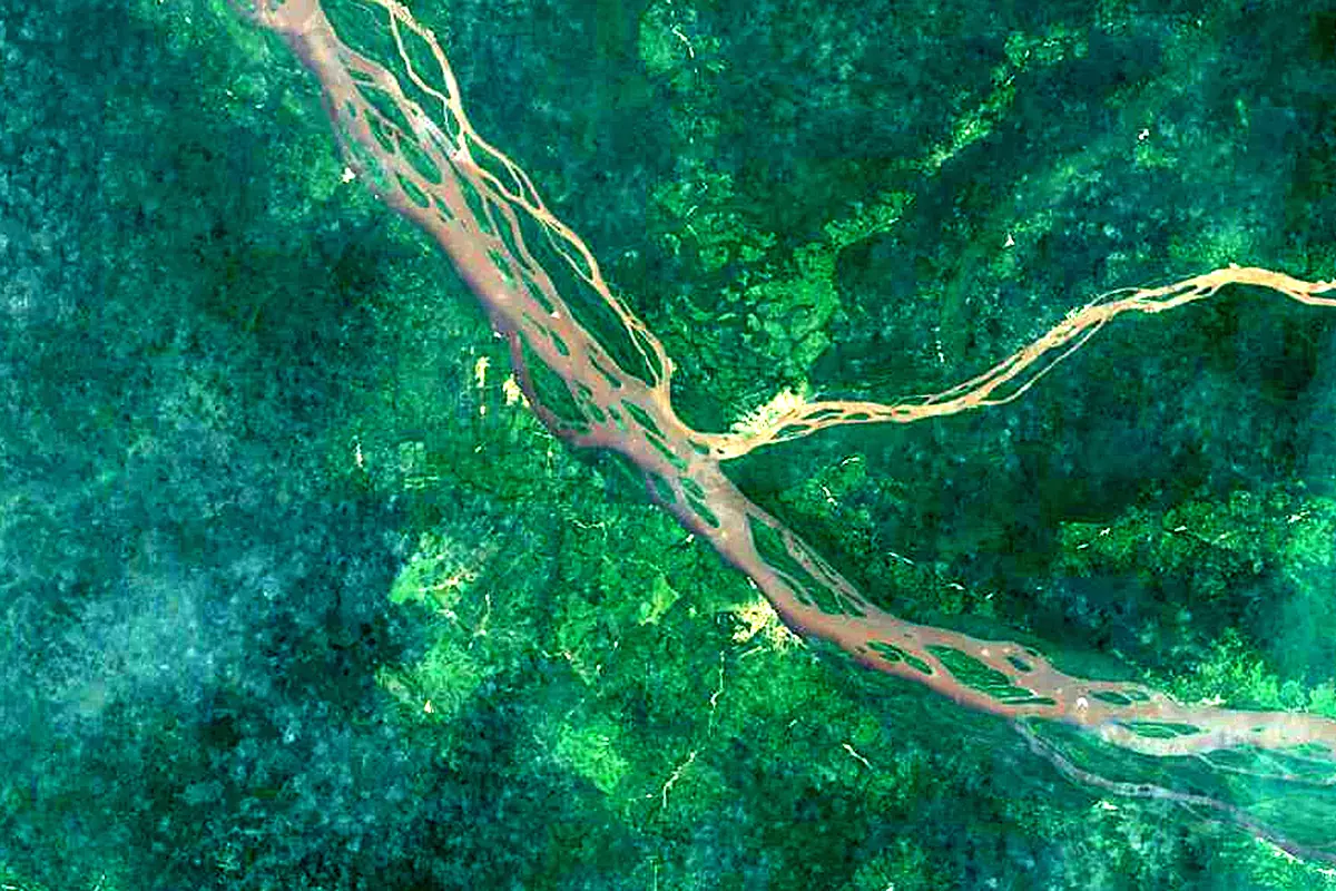 Aruwimi River: satellite view of the mouth