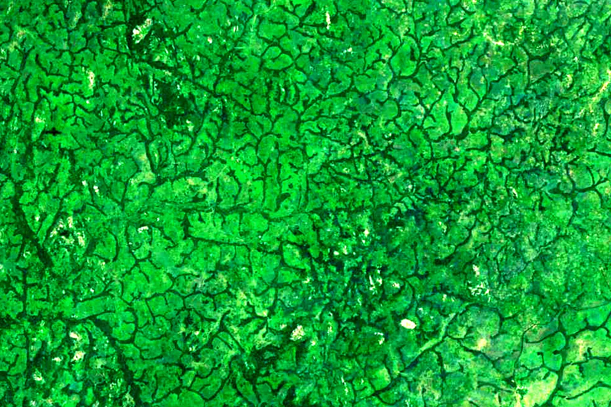 Aruwimi River: satellite view of the source