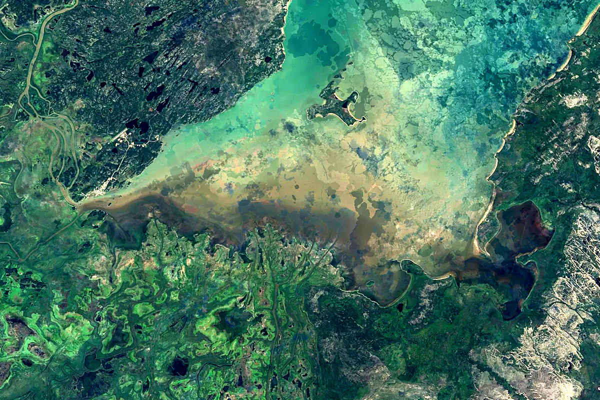 Athabasca River: satellite view of the mouth