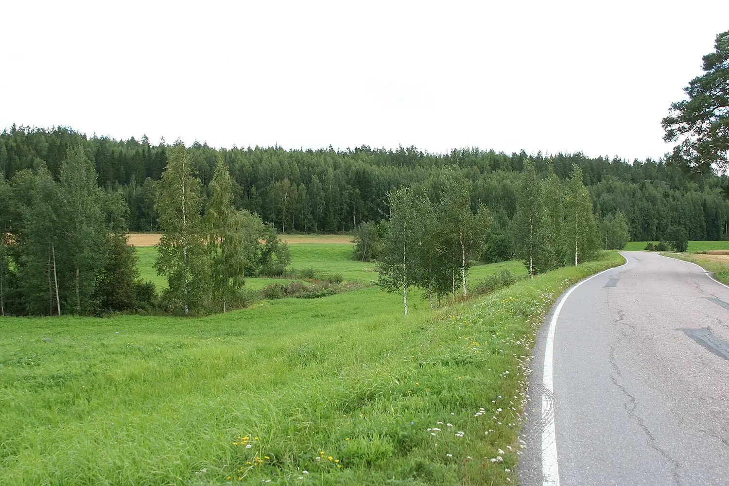 Aurajoki Pöytyä 1
