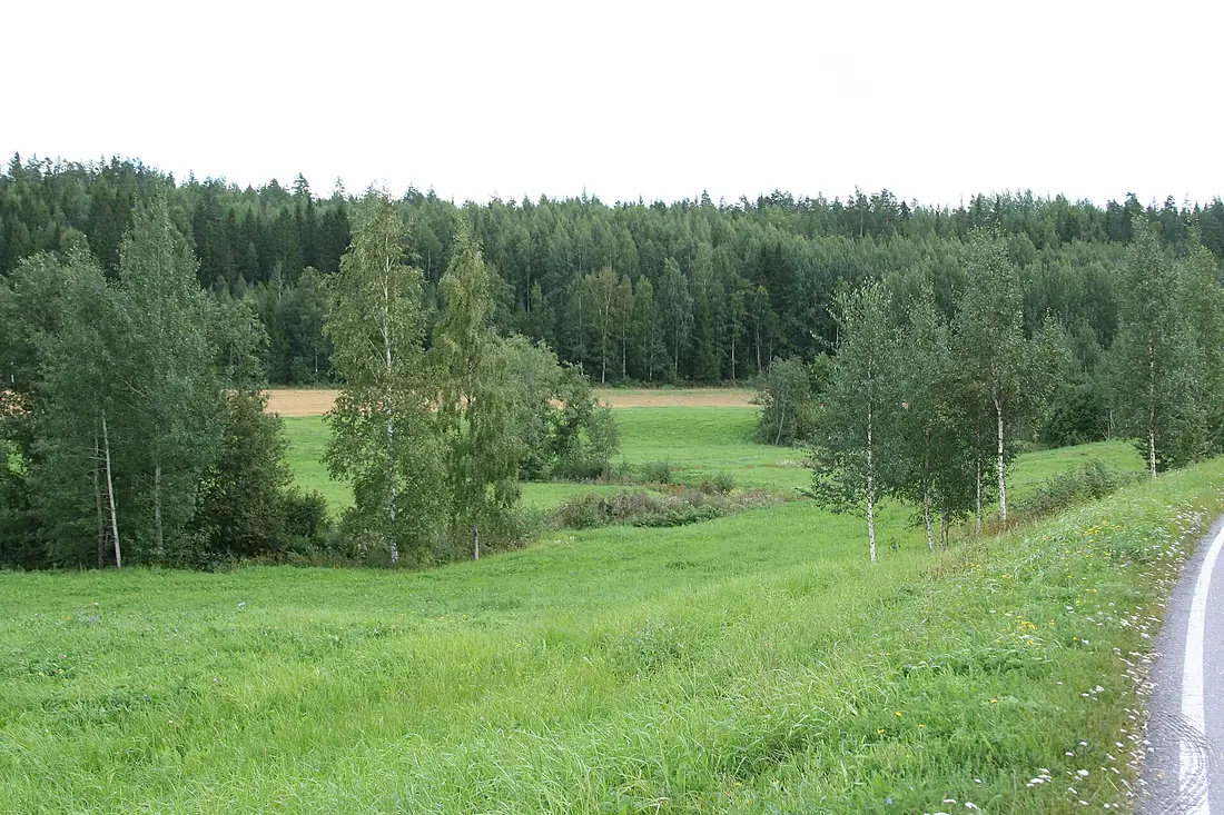 Aurajoki Pöytyä 2