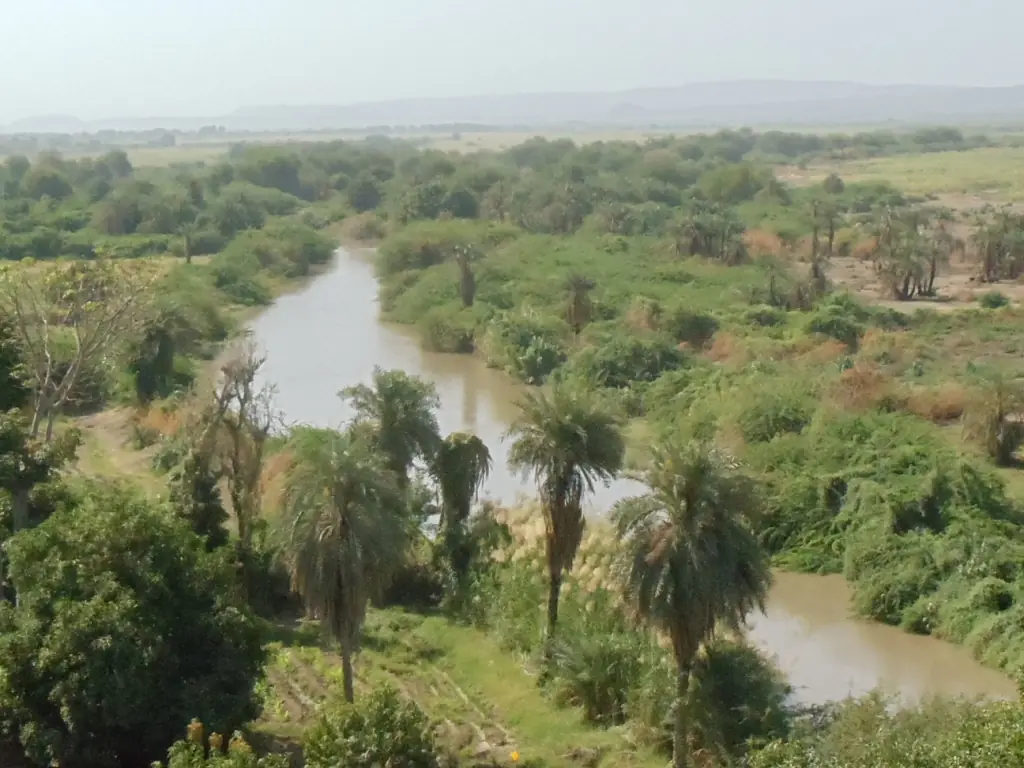 Awash River Valley, Asaita, Afar, Ethiopia