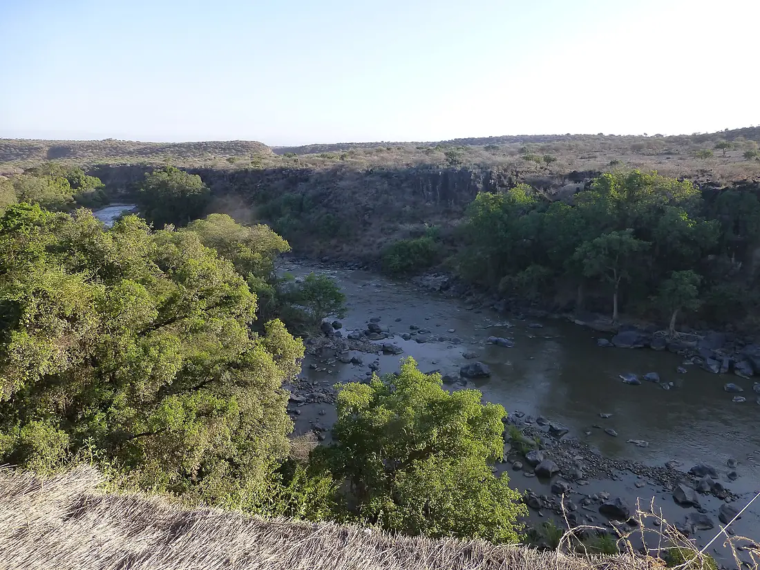 Parc national d'Awash-Ethiopie-Rivière (1)