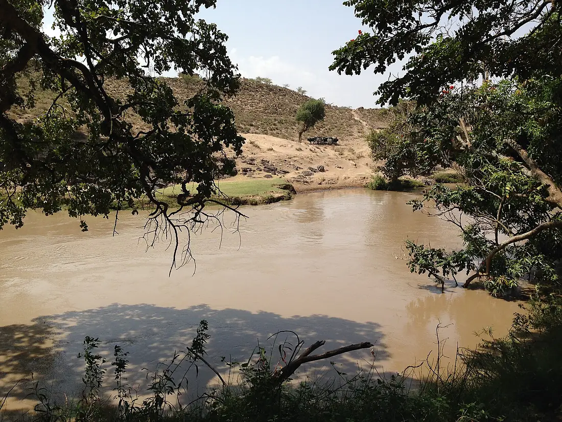 The Awash River