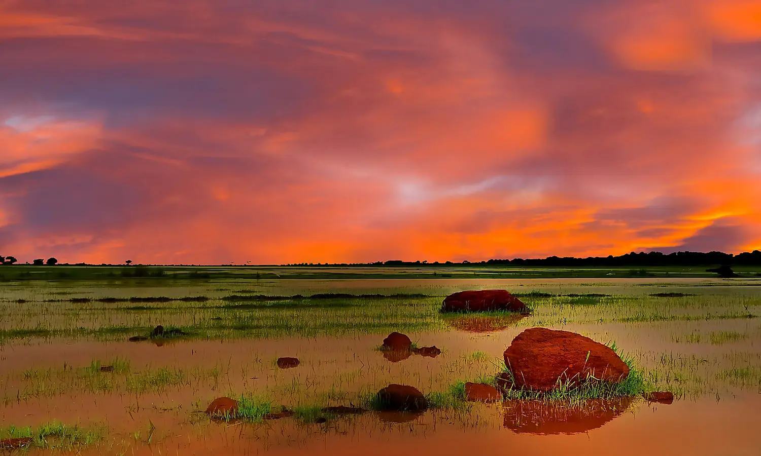 Under an African Sky - panoramio