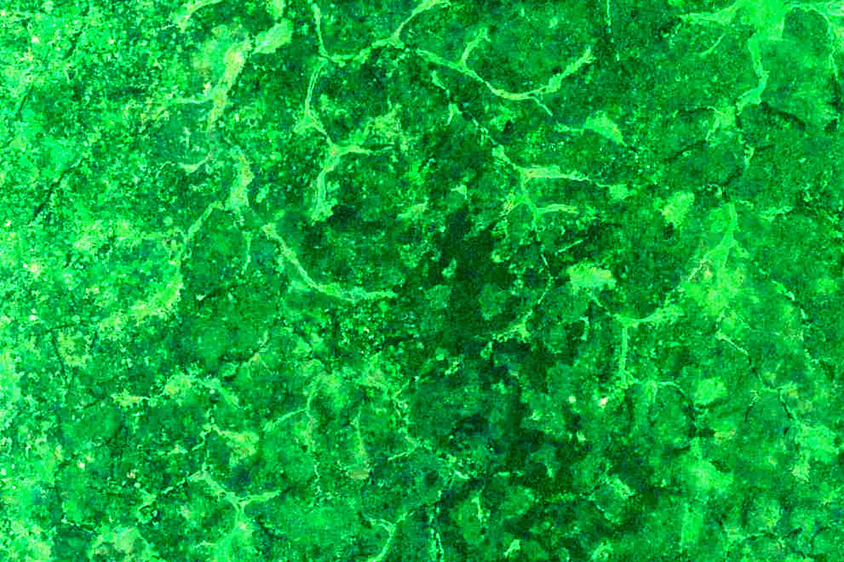 Bahr el Ghazal River: satellite view of the source