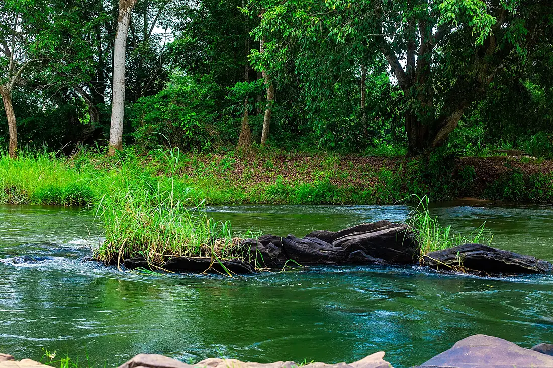 Fleuve Bandama - Green Card-10