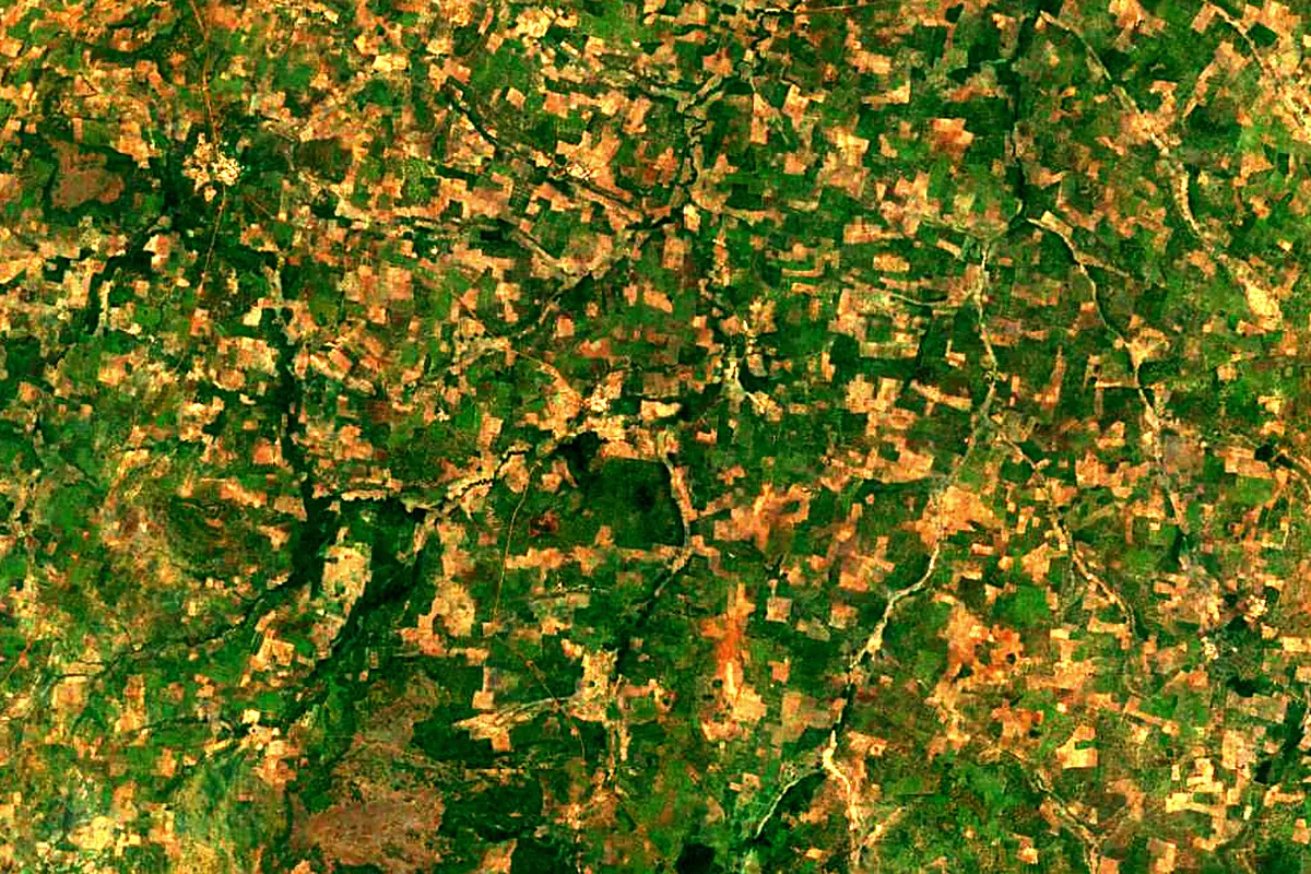 Bandama River: satellite view of the source