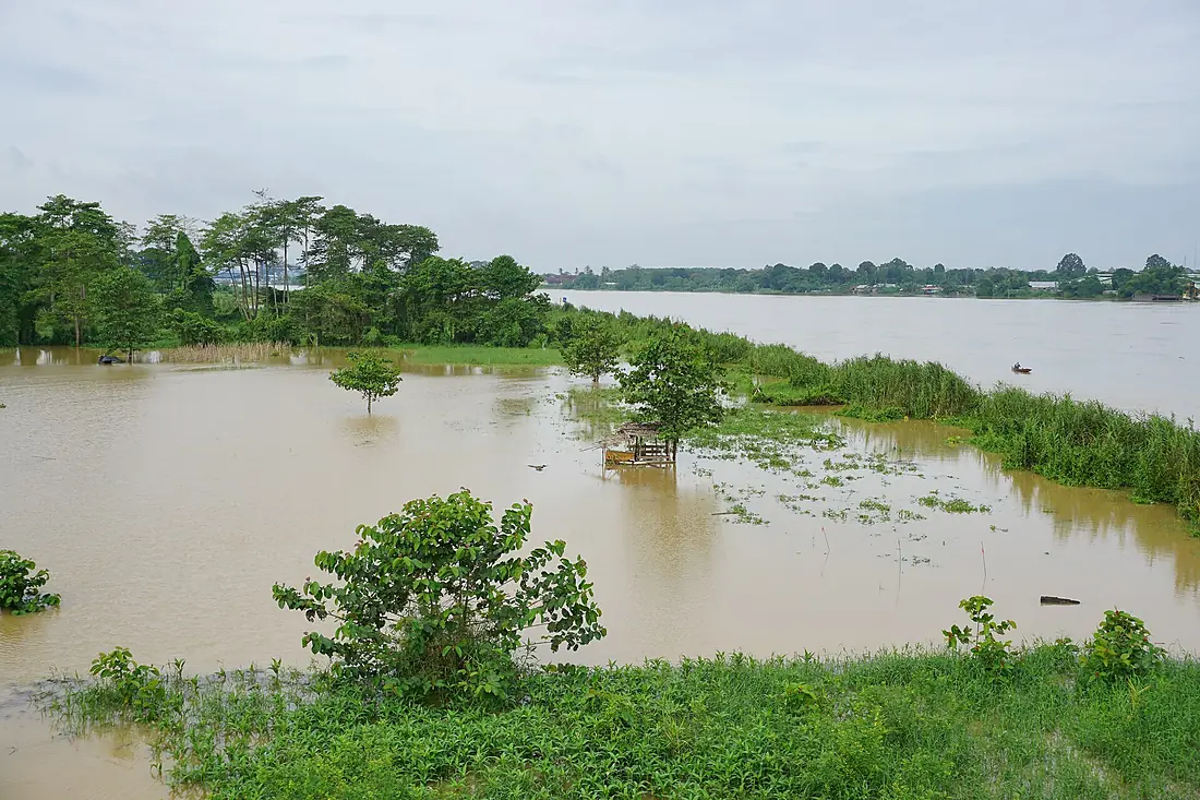 102 Batanghari River (24266606307)
