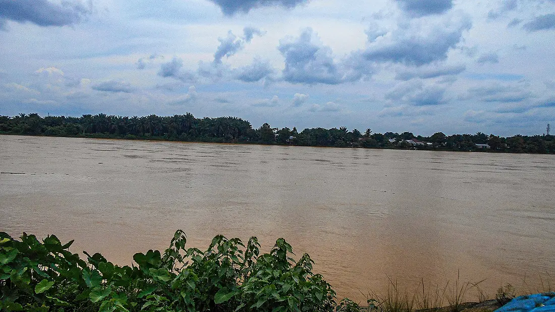 Batang Hari River view from Danau Teluk, Jambi City, JA