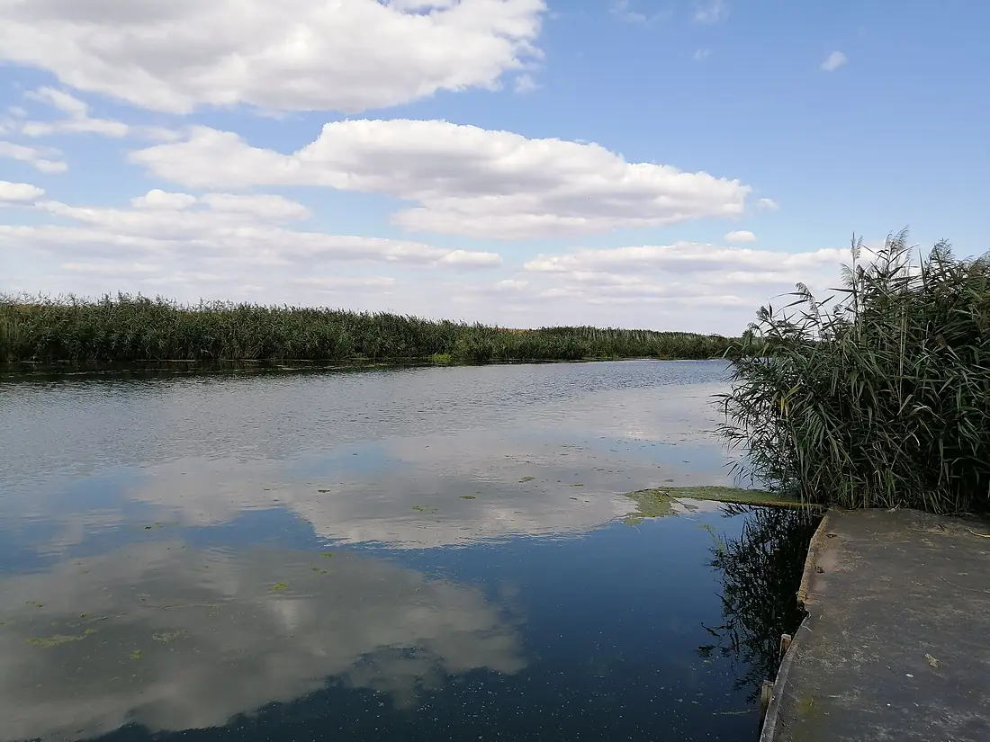 Bega River (Begej) between Žitište and Klek, Serbia