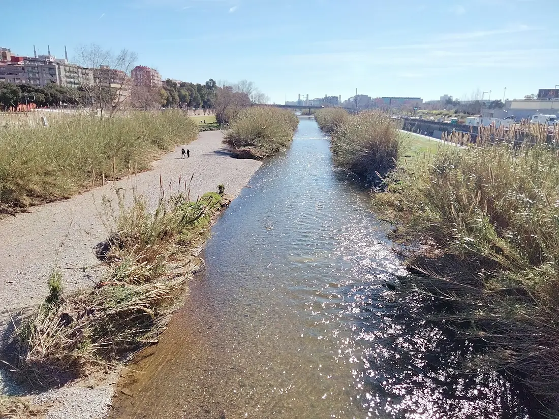 04 El Besòs des del pont dels Passadors (Sant Adrià de Besòs)