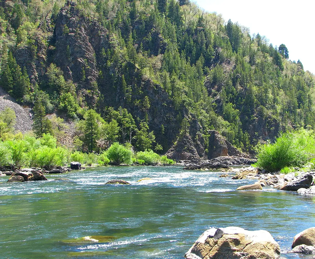 Biobio