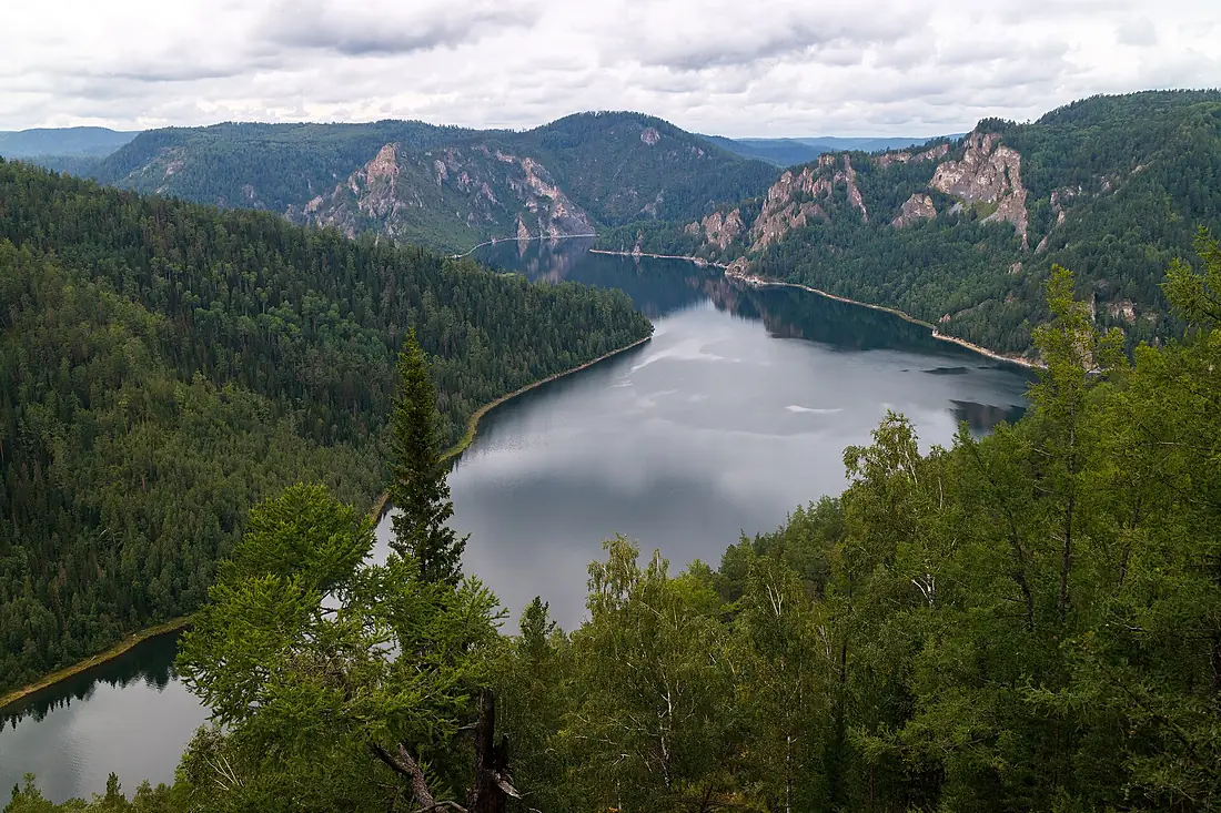 Biryusa Bay, Forest, Krasnoyarsk Sea, Russia