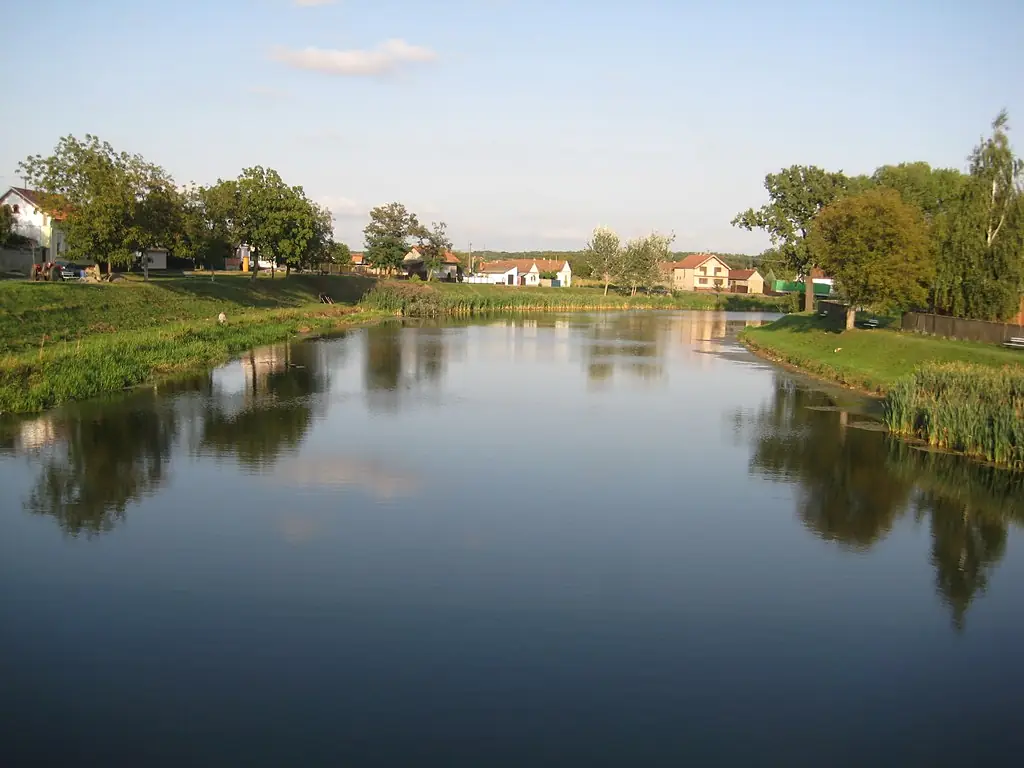 Bosut - Rokovci-Andrijasevci 4