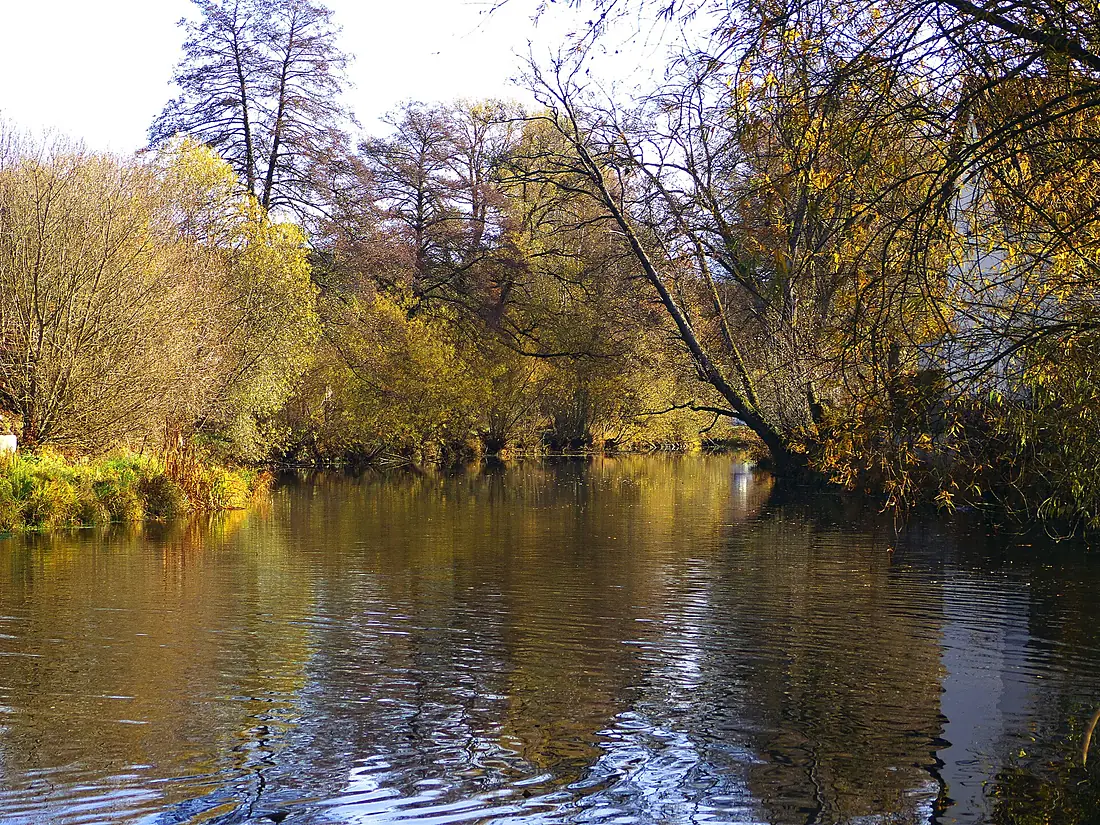 The River Breg - panoramio (1)