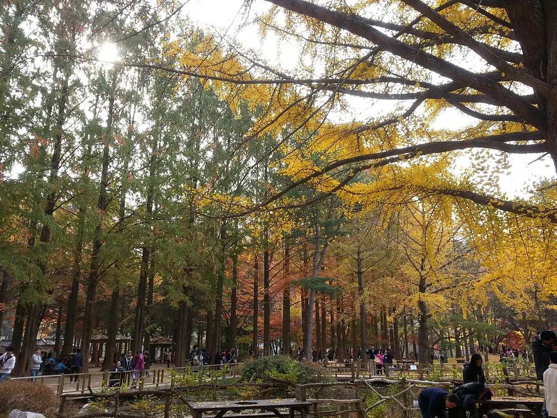 Bukhangangbyeon-ro, Gapyeong-eup, Gapyeong-gun, Gyeonggi-do, South Korea - panoramio