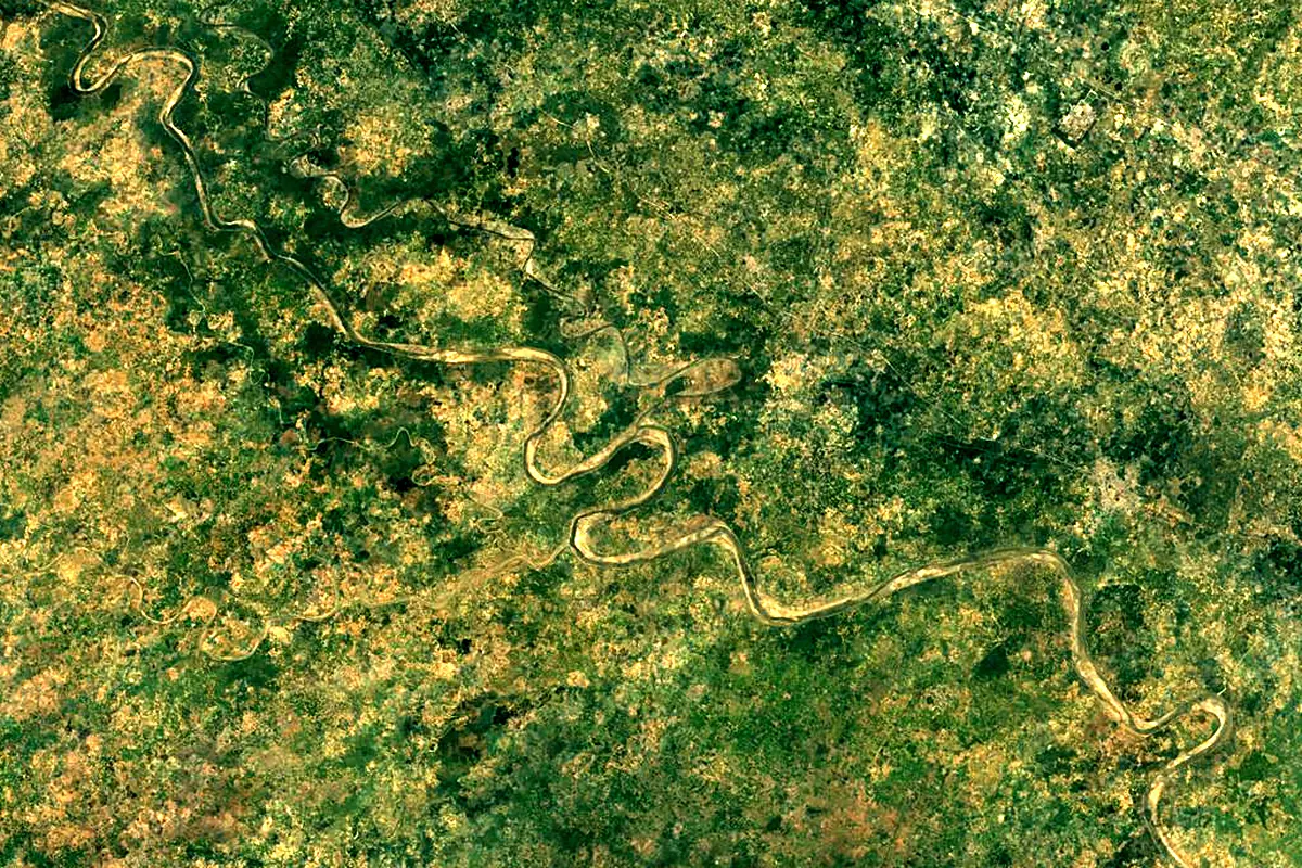 Chambal River: satellite view of the mouth