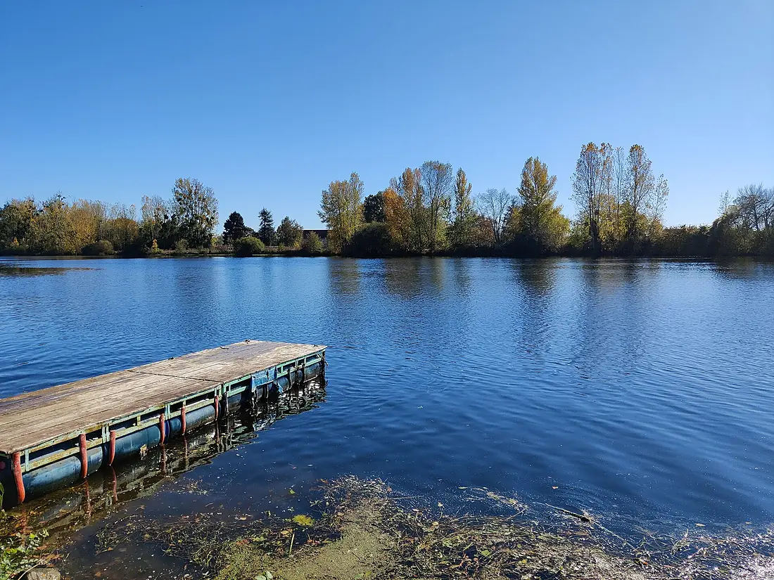 Bords du Cher à Châtres-sur-Cher (10)