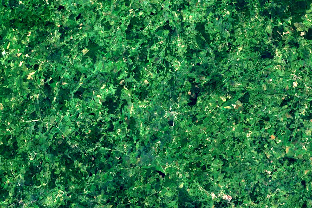 Cher: satellite view of the source