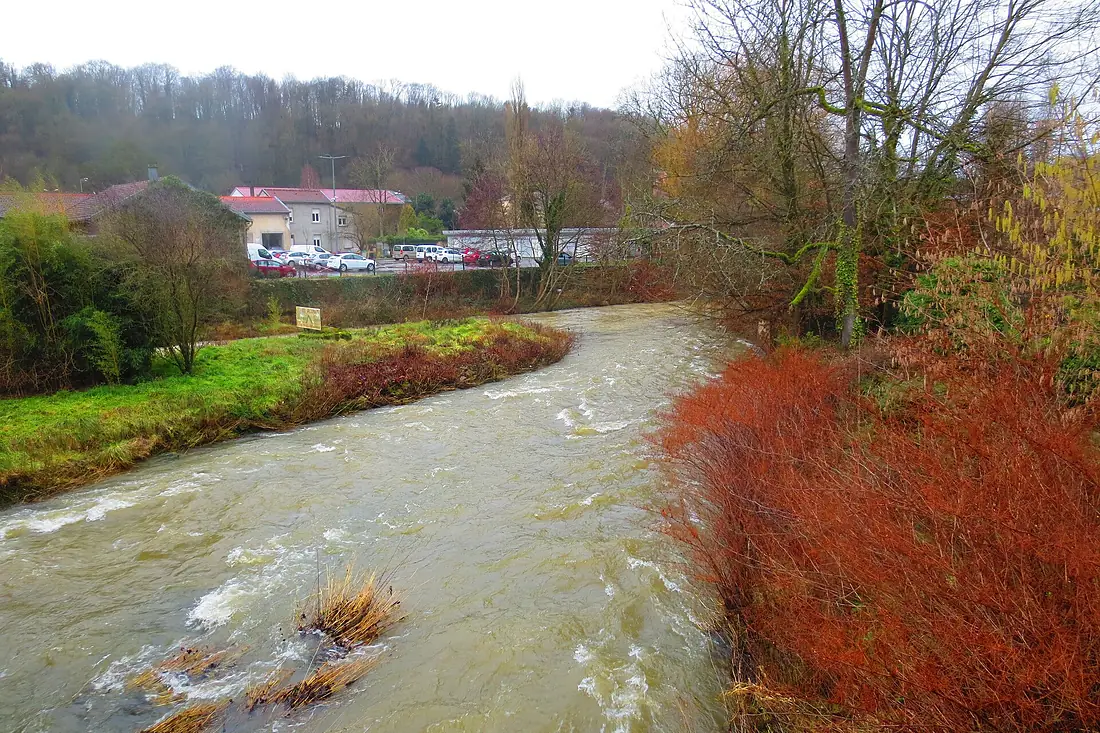 2022-01-12 - Confluence de la Crusnes et de la Chiers à Longuyon (F-54) 02