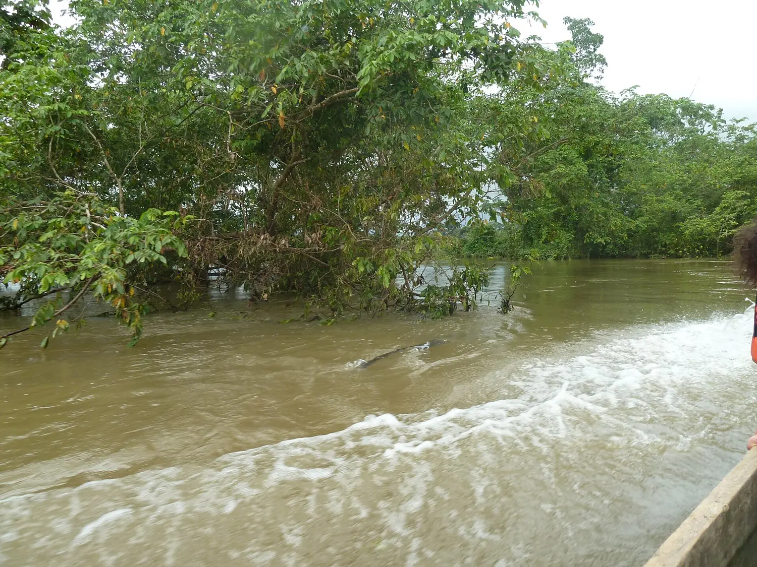 CuencaRioChucunaque