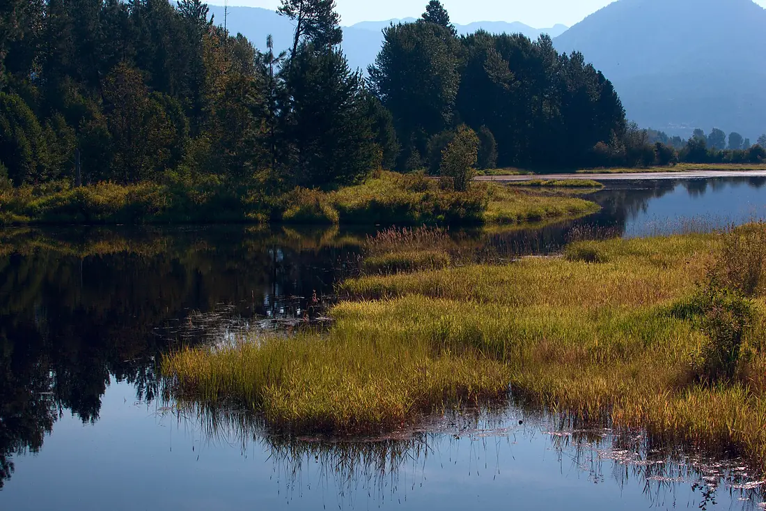 Clark Fork (9630555709)
