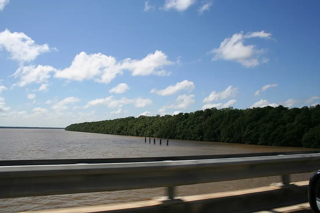 Coppename River