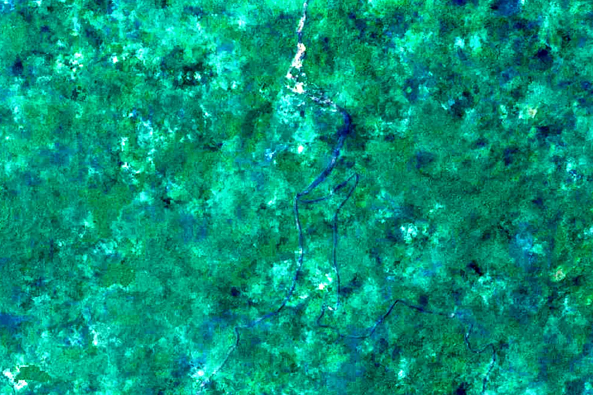 Coppename River: satellite view of the source