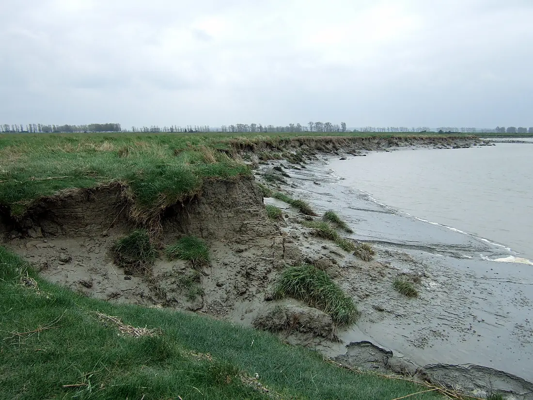 Couesnon mud