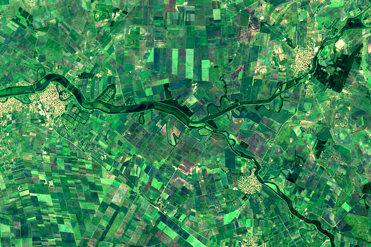 Crișul Repede River: satellite view of the mouth
