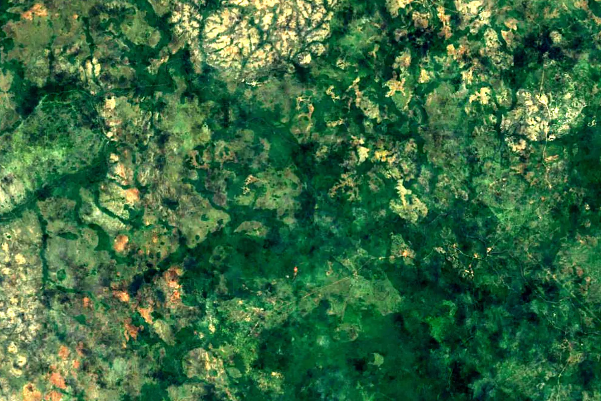 Cuyuni River: satellite view of the source