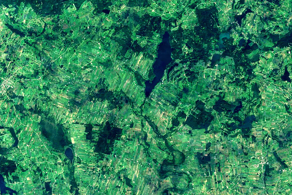 Czarna Hańcza: satellite view of the source