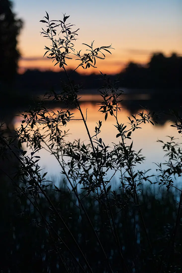 Dalälven natt 2022-05-30