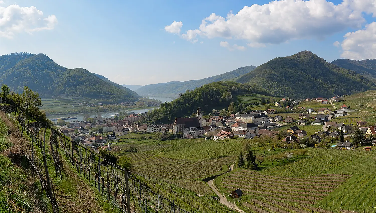 Spitz an der Donau Panorama 20260417