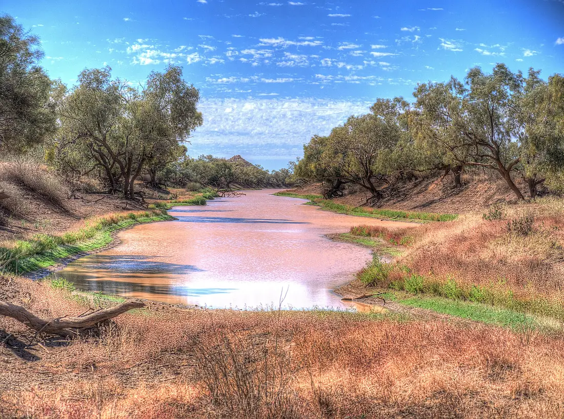 Diamantina Channel and Coolabahs (20918518819)