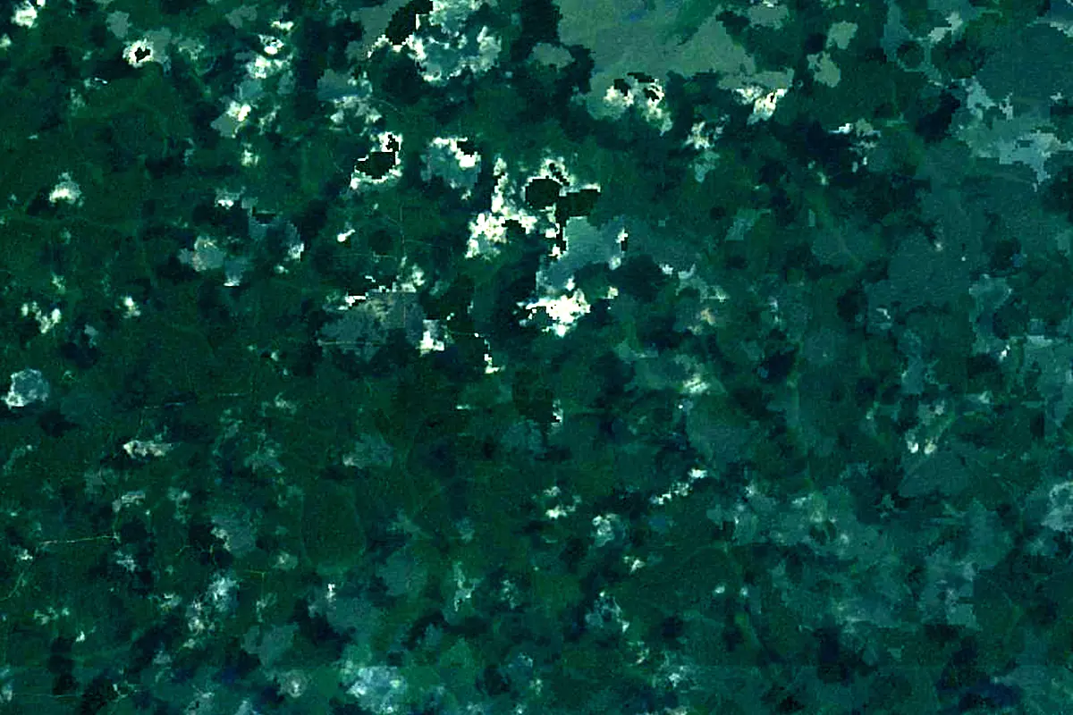 Dja River: satellite view of the source