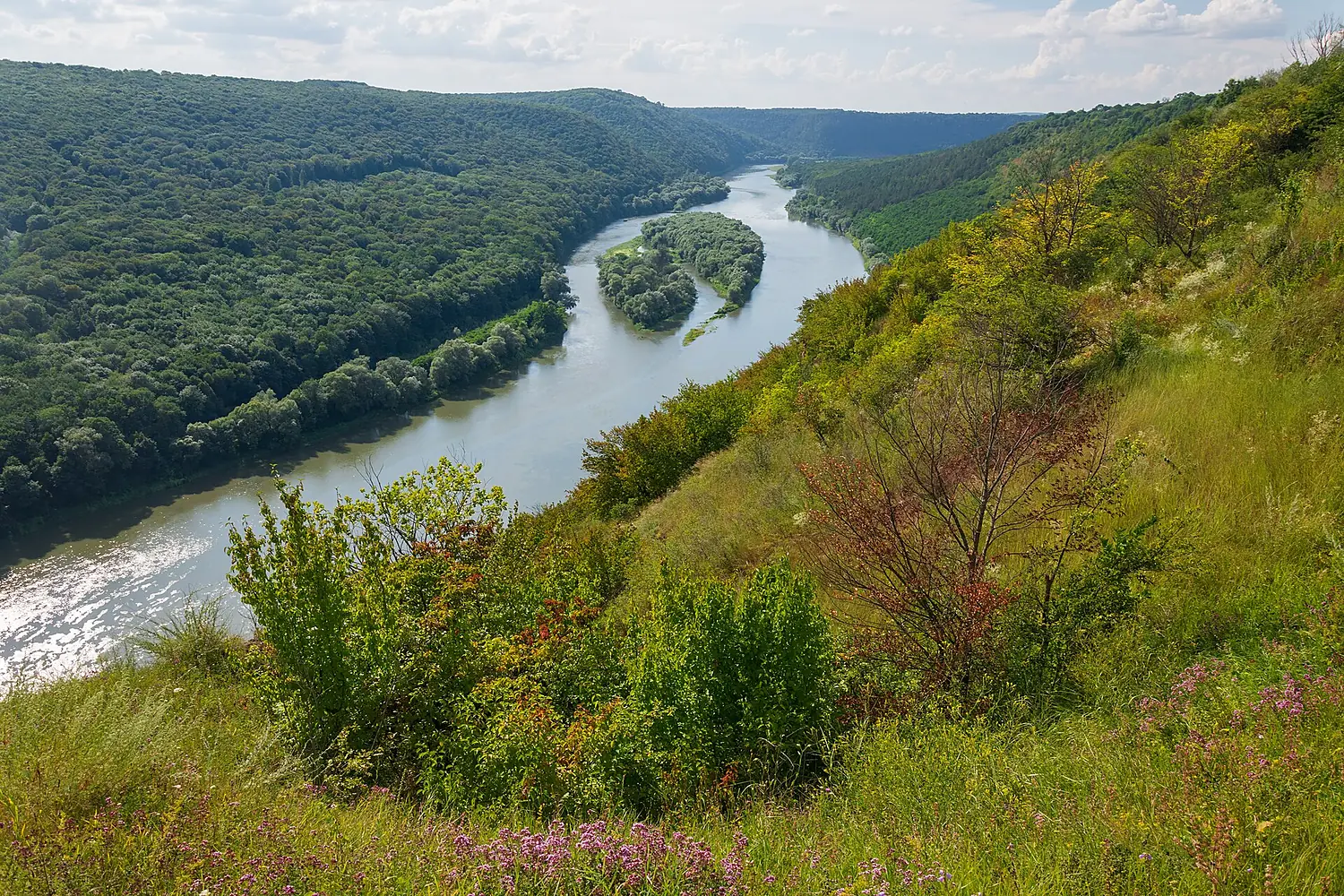 61-208-5089 Dniester Canyon RB 18