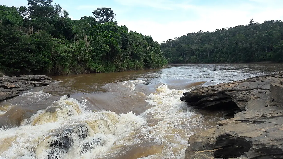 Parque Estadual do Rio Doce - Rio Doce visto debaixo da Ponte Queimada