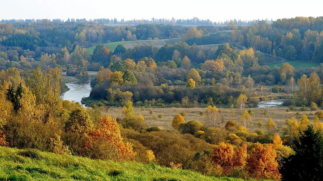 Valley Dubysa river