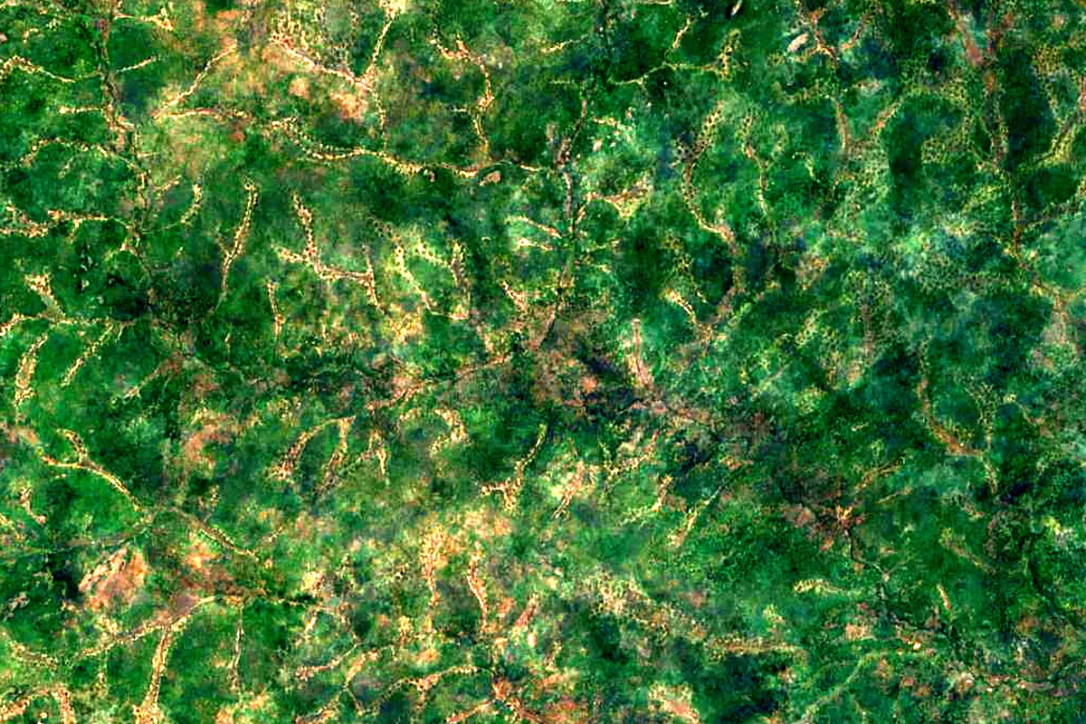 Dwangwa River: satellite view of the source