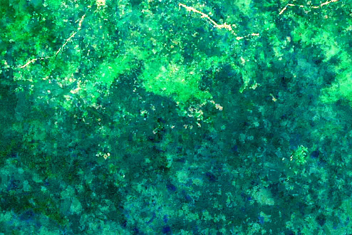 Ebola River: satellite view of the source