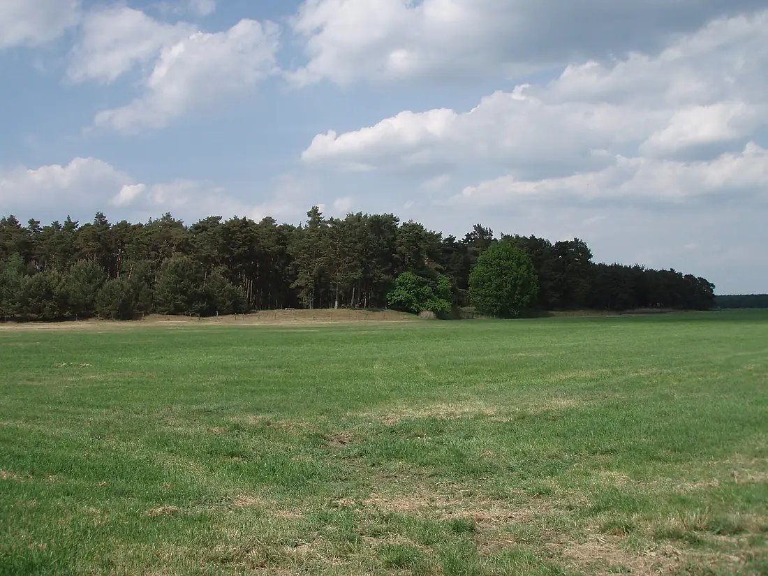 Blick auf die nordwestliche Flussterrasse des Eldetals 19-05-2016